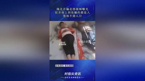 爆料缅北诈骗视频,视频曝光惊人内幕  第3张