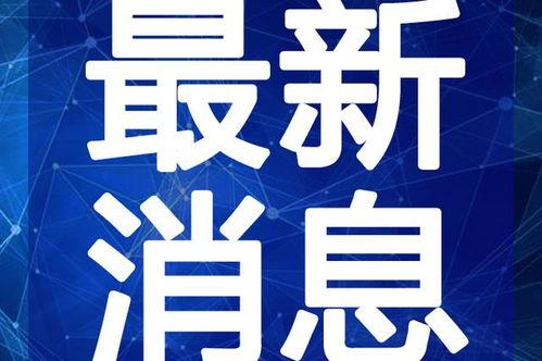 七彩菠萝爆料视频大全最新,揭秘热门话题背后的真相与精彩瞬间